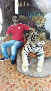 Sign in to leave a comment. Posing With Tiger Bild Von Sriracha Tiger Zoo Chonburi Tripadvisor