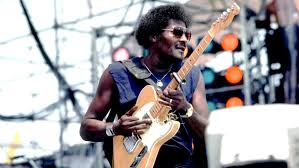 Image result for Albert Collins