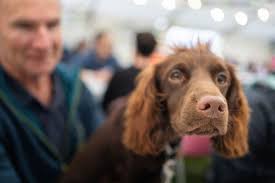 Highlights from an incredible SCARPA Great Lakeland 3Day event™