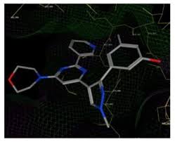 Image result for Equilabium petiolare