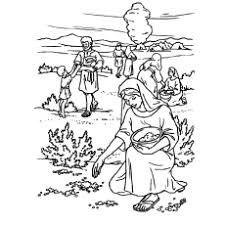 Maybe you would like to learn more about one of these? Top 25 Bible Coloring Pages For Your Little Ones