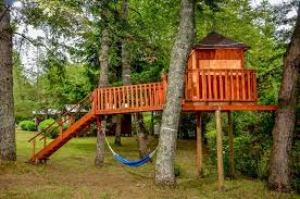 Pin En Casas En El Arbol