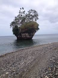 This ritual has been practiced for centuries and celebrates the yam harvest. South Pentecost Island Vanuatu Vanuatu Water Island