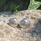 silver clay stud earrings and soldered wires