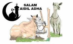 Biarpun keseruan foto itu terlihat sederhana, tetapi foto tersebut bisa mengubah mood anda. Kuang Feedlot Farm Menjual Lembu Feedlot Publicaciones Facebook