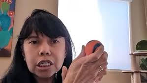 Pet Supplies : Pet Toy Balls : Chuckit! Ultra Ball Dog Toy, Balls for Dogs  to Fetch, Durable Rubber, Small 2-inch, Pack of 2 : Amazon.com