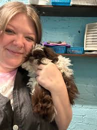 Found dog in driveway, what to do?