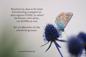 Impulse Inspirationen Zitate Geschichten Empfehlungen Selbstbestimmt Und Bewusst Leben Sich Inspirierende Spruche Schmetterling Zitate Spruche Zitate