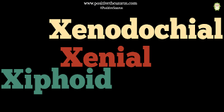 Positive Adjectives That Start With X Positive Adjectives Positive Words List Of Positive Adjectives