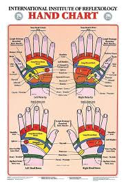 Hand Reflexology Chart Laminated