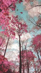Pin By Aurine Palma On Ao Redor Do Mundo Photography Wallpaper Dreamy Landscapes Nature Wallpaper