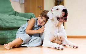 Download Nice Girl Toddler On The Floor With Dog For Free Best Dog Training Dog Training Dog Friends