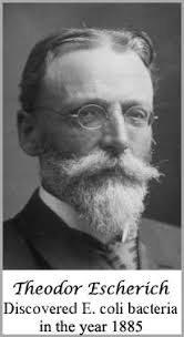 M.Biochemist 🔬👨🏽‍🔬