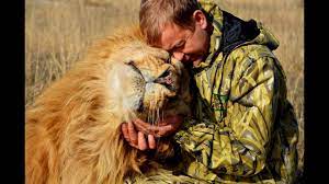 Join facebook to connect with oleg zubkov and others you may know. Oleg Zubkov Chelovek Lev Safari Park Lvov Tajgan Lions Safari Park Taygan Youtube