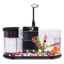 Harga aquarium mini lengkap lampu dan pasir+aquarium cupang+aquascape. Jual Usb Desktop Akuarium Mini Fish Tank Aquarium Aquascapes Aquascape Limited Shopee Indonesia