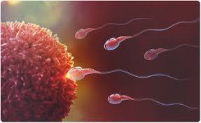 أسباب تراجع معدلات الخصوبة عند الرجال. Male Age And Fertility