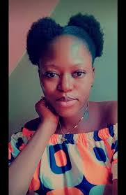 Honkai Star Rail support team details