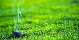 Try out these tips and see if your lawn gets even greener as a result of. How Can I Make My Grass Thicker And Greener Turf Rain