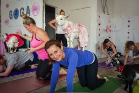 Maybe you would like to learn more about one of these? 5 Fun Things To Do With Animals In Austin