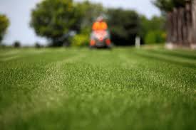 10 best lawn mower oil review. What Oil Should You Use In Your Lawnmower Gold Eagle Co