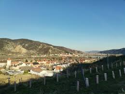 35 photos · 30 views. Wachau Welterbesteig Etappe 11 Uber Seekopf Und Hirschwand Bahn Zum Berg