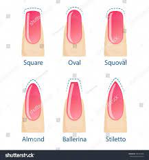 Nail Manicure Set Of Nails Shapes Oval Square Almond Stiletto Ballerina Squoval Vector Nail Nail Shapes Squoval Acrylic Nail Shapes Square Oval Nails