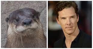 1,194,937 likes · 126,312 talking about this. Benny The Otter Hiddlebatch Fans