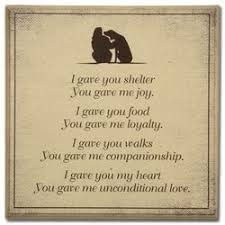 Maybe you would like to learn more about one of these? Dealing With The Loss Of A Petacknowledgements Net