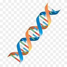 Yellow And Multicolored Dna Structure Illustration Dna Nucleic Acid Double Helix Genetics Dna Text Biology Cell Png Pngwing If you hover over the little yellow box, a tooltip pops up which tells you exactly what it is.