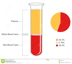 what is the makeup of human blood makeupview co