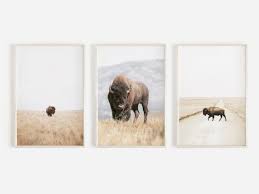 Buffalo Wall Art Bison Print Bison Wall Art Americana Etsy Bison Print Buffalo Wall Art Western Wall Art
