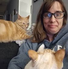 How are the roads around Petoskey ?