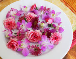 We did not find results for: Edible Flowers Micro Greens Crystallized Flowers Shipped Direct To Your Door Edible Flowers Edible Flowers Cake Spring Mix