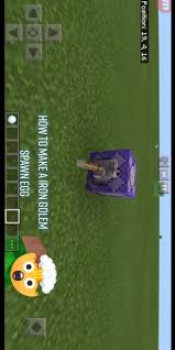 How Is This Iron Farm Not Spawning Golems Like At All [Bedrock] :  R/Minecrafthelp
