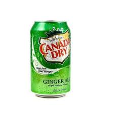 Will Ginger Ale Help Soothe A Pet Dog S Upset Stomach