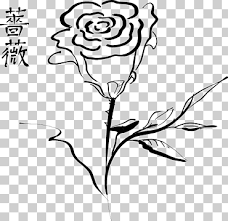 Menanam bunga mawar di halaman rumah pun akan memberikan kecantikan yang mumpuni bagi dekorasi rumah. Black Rose Outline Black Rose Tato Tribal Bunga Mawar Purple White Branch Png Klipartz