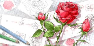 We did not find results for: How To Draw A Rose Art Rocket
