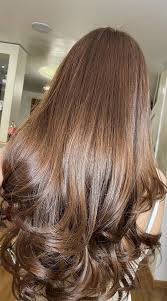 Brown hair may be the most popular shade worn by more than half the population of the world. 70 Hottest Brown Hair Colour Shades For Stunning Look Silky Chocolate Brown Hair