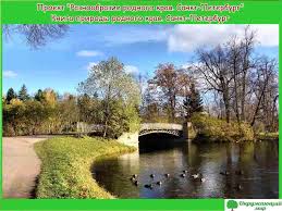 проект книга природы родного края 3 класс окружающий мир Proekt Raznoobrazie Prirody Sankt Peterburga 3 Klass