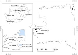 Image result for Macrotyloma maranguense