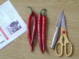 Produktivitas dari benih padi unggul ini memiliki perbedaan dengan benih padi pada umumnya. Tanamsendiri Com Grow Your Own Menyediakan Benih Cili Sendiri