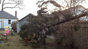 However, i am not able to generate this combined graph in power bi. Blustery Winds Down Ontario Power Lines Topple Trees Ctv News