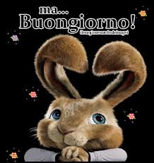 Inciso cartolina abbraccio, invia un abbraccio, abbraccio tascabile di legno, regalo per l'amato, mancante regalo, miss you card, letterbox regalo. Cartoline Buongiorno Divertenti Il Magico Mondo Dei Sogni