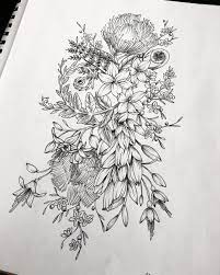 Native drawing new zealand flowers. 43 New Zealand Flowers Ideas Flowers New Zealand New Zealand Tattoo