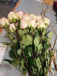 Hours may change under current circumstances Field Of Flowers Wholesale 5101 S University Dr Davie Fl 33328 Usa