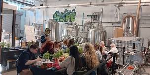 Bonsai Bar — Crafted Hope Brewing Company