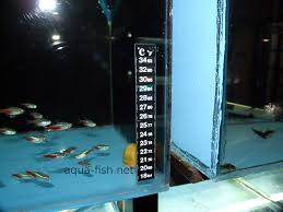 Do not use a mercury thermometer. The Purpose Of Aquarium Thermometers With Faq And Forum