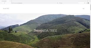 Image result for Bridelia brideliifolia