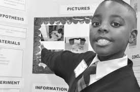 Residents refusing city trees