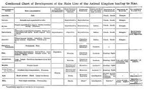 72 Specific Phylum Comparison Chart